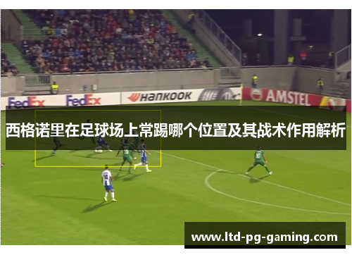 西格诺里在足球场上常踢哪个位置及其战术作用解析 西格诺里在足球场上常踢哪个位置及其战术作用解析